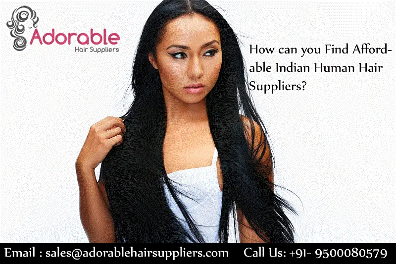How Can You Find Affordable Indian Human Hair Suppliers?